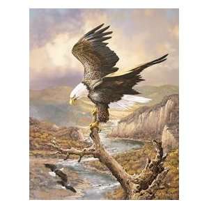  American Bald Eagle tin sign #1029: Everything Else