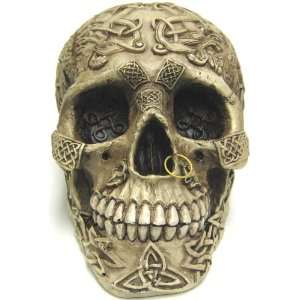  Celtic Lion Knotwork Human Skull Statue Bone Finish