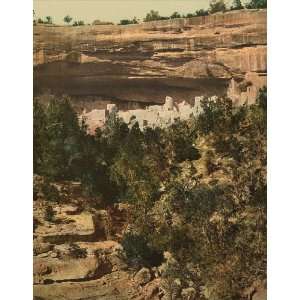   Poster   Cliff Palace Mesa Verde general view 24 X 19 
