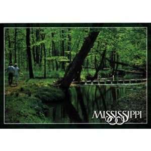  Mississippi Postcard 12300 Rock Springs Case Pack 750 