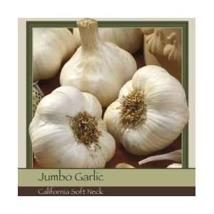  Honeyman Farms Garlic California Softneck: Patio, Lawn 
