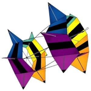   ® Nylon Rotating Box Kite Revolution by X Kites Toys & Games