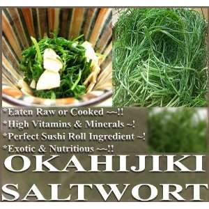   SEAWEED Plant Seeds ~ Salsola komarovii ~ PRIZED Patio, Lawn & Garden