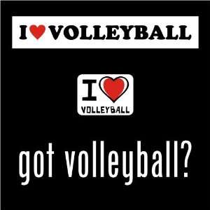  I love Volleyball and got Volleyball 3 Sticker pack Arts 