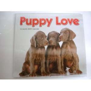  Puppy Love 2009 16 Month Wall Calendar: Office Products