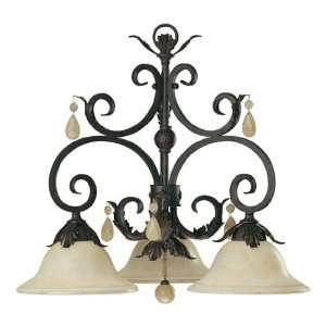   Chandelier in Toasted Sienna Finish   6406 3 44