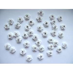 Nail Art 3d 40 Pieces White Rose/Rhinestone for Nails, Cellphones 1 