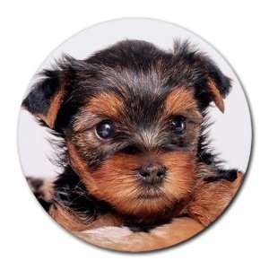  Yorkshire Terrier Puppy Dog 8 Round Mousepad BB0655 
