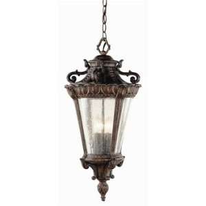  Trans Globe 4843 PA Estate   Four Light Outdoor Hanging 