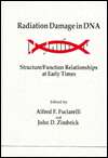 Radiation Damage in DNA: Structure/Function Relationships at Early 