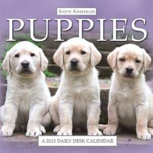  (5x5) Keith Kimberlin Puppies 2013 Daily Desk Calendar 