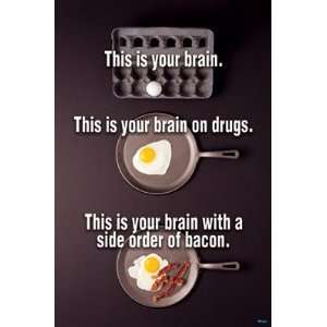  (23x35) Brain on Drugs Eggs College Humor Poster