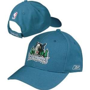  Minnesota Timberwolves Youth Alley Oop Secondary Color Hat 