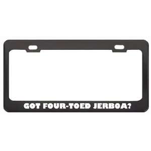 Got Four Toed Jerboa? Animals Pets Black Metal License Plate Frame 