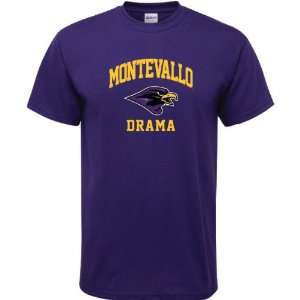  Montevallo Falcons Purple Drama Arch T Shirt Sports 