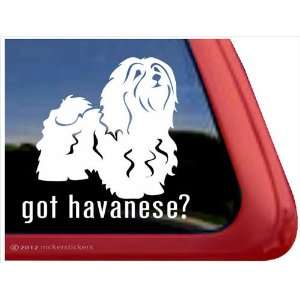  Got Havanese? ~ Havanese Vinyl Window Auto Decal Sticker 