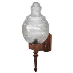  9200 Series Small Outdoor Wall Lantern Finish: Aged Silver 
