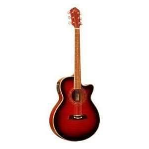   Schmidt OG10CETR Folk Acoustic Electric Guitar: Musical Instruments