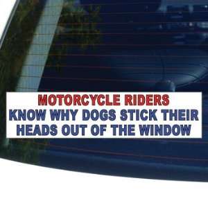  MOTORCYCLE RIDERS KNOW WHY DOGS STICK THEIR HEADS OUT OF 