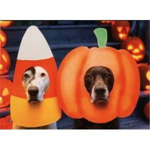  Dogs in Candy Corn Masks Halloween Card 