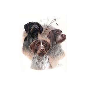  German Wirehaired Pointer Shirts