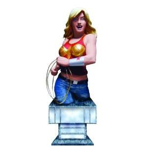    Women of the DC Universe Series 2 Wonder Girl Bust Toys & Games