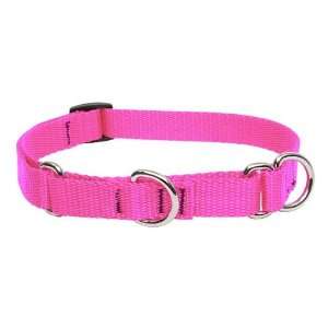  3/4 Hot Pink 15ft Slip Style Training Leash: Pet Supplies