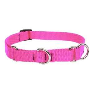  3/4 Hot Pink 15ft Slip Style Training Leash