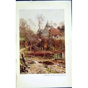    C1934 View Pyrford Church Woking Trees Colour Print