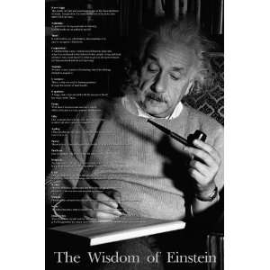  THE WISDOM OF EINSTEIN   Albert Einstein Quotes 23x35 