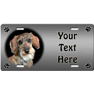  Dachshund   Wirehaired Personalized License Plate: Sports 