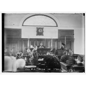 Mrs. W.G. Brokaw on stand in courtroom
