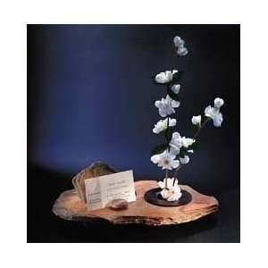  Ikebana Card Holder With Flower Arranger: Home & Kitchen