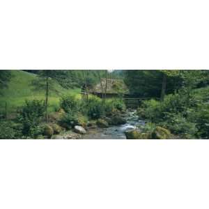  River Flowing Through Forest, Black Forest, Glottertal 