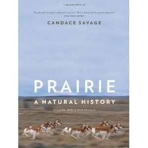    Prairie A Natural History [Paperback] Candace Savage Books