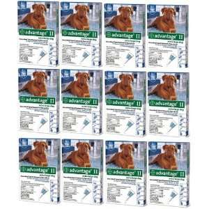  ADVANTAGE II Dog Flea Control 55+ lbs Blue 6 Month 12pk 