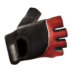   and Impact Protection Gloves/Pair 2X Spider