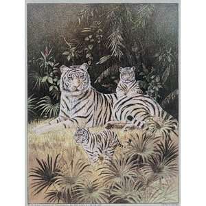  White Tiger Cubs Poster Print: Home & Kitchen