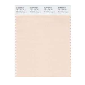   SMART 12 1107X Color Swatch Card, Pink Champagne: Home Improvement