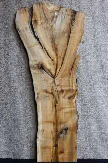   Style Spalted Ambrosia Black Line Maple Curly Figured 476  