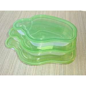  Food Storage Container or Food Saver in Fancy Special Summer Picnic 