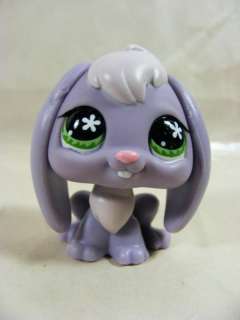 Littlest Pet Shop Purple Rabbit #648 Cuddliest LPS New  