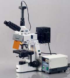 40x 2500x Infinity Extreme Widefield EPI Fluorescent Microscope 