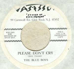 The Blue Boys Why Did You Go / Please Dont Cry VAMSSO Northern Soul 