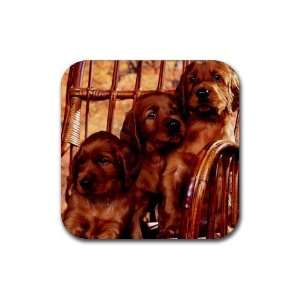  Irish Setter Puppy Dog Rubber Coaster (4 pack) DD0694 