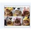 FREE SHIPPING New Cute Funny Puppy Transfiguration Hat For Dog & Cat 