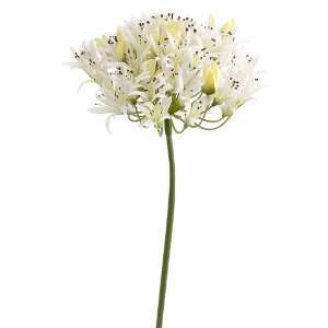  27 Silk Agapanthus Flower Spray  White (case of 12): Home 