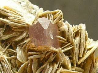 85g GEM Pink Apatite Crystal on Mica,Rock  