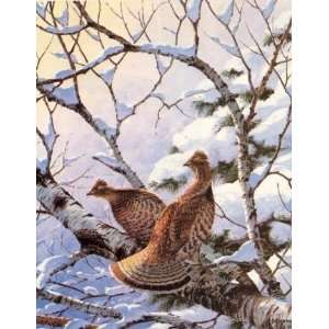  David Maass   New Snow Ruffed Grouse