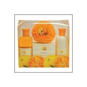  Grapefruit and Orange Gift Collection Beauty